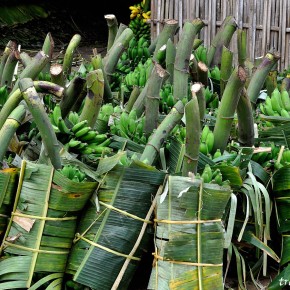Goalpara Diaries 1: Dudhnoi Market and the Banana Cartel