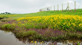 Kas Plateau