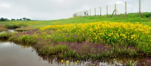 Kas Plateau