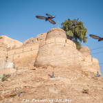 A Meandering Walk Around Jaisalmer Fort And Lake