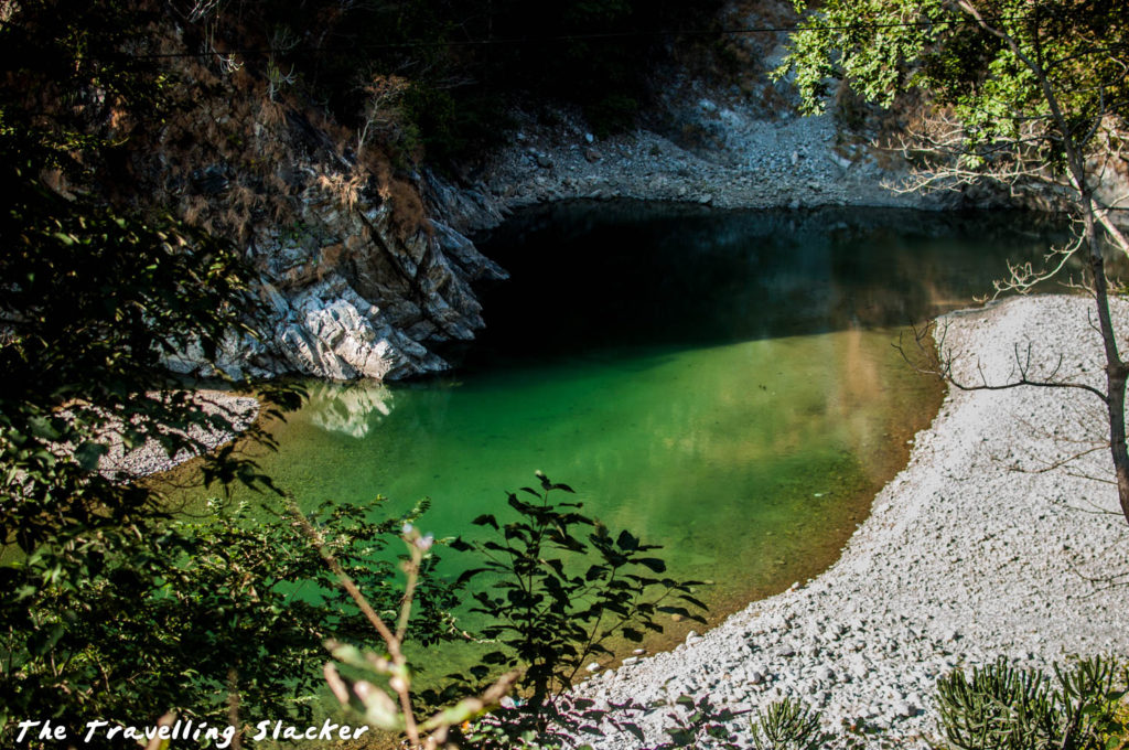 Hues of Ramganga: Beating Around the Bushes in Corbett