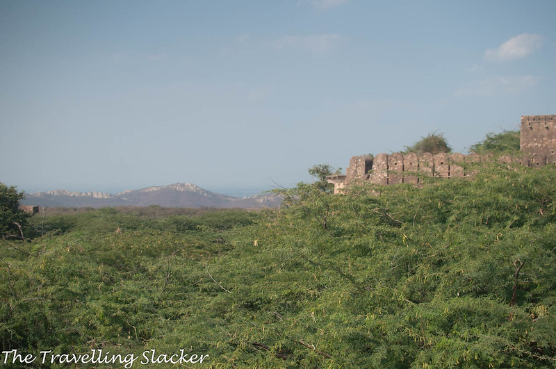 Taragarh Fort Bundi 8