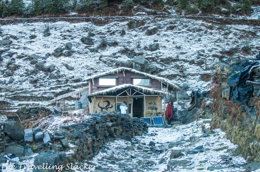 Chopta Snowfall 7