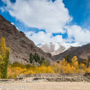 Ladakh autumn landscape