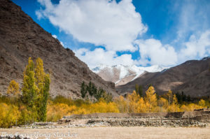 Ladakh autumn landscape