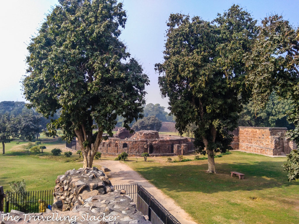 Feroz Shah Kotla 25