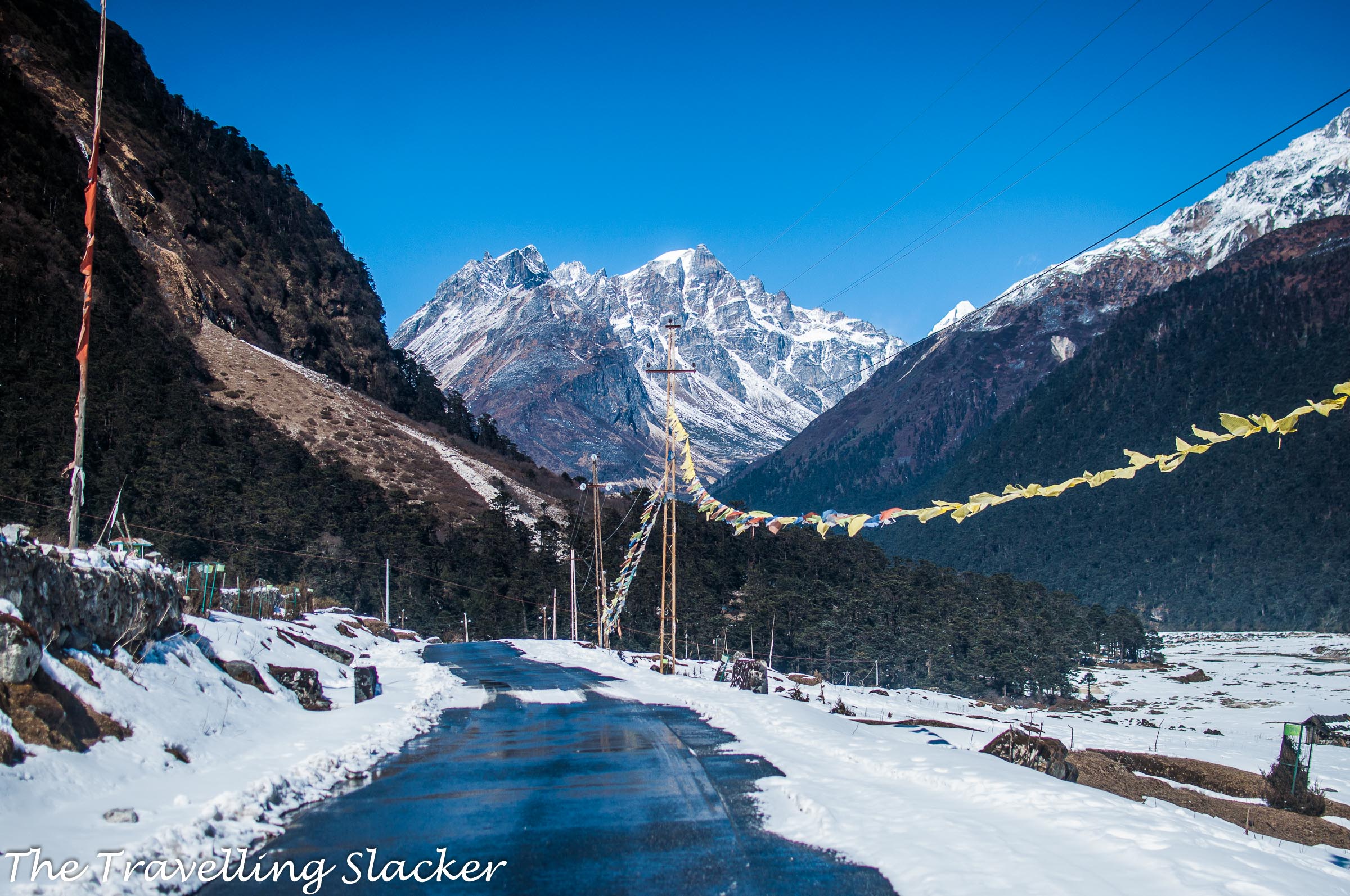 Yumthang Valley in North Sikkim