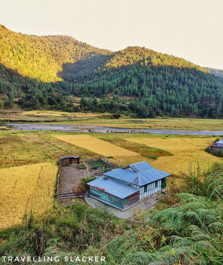 Sangti Valley deserves more exploration.