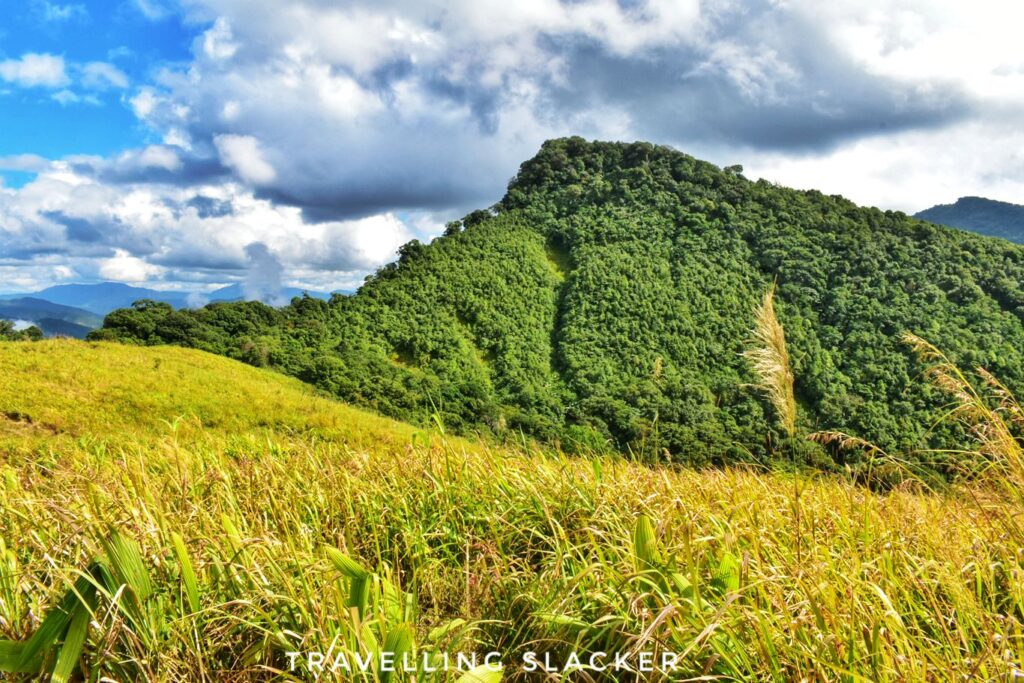 Sielkal Peak Trek6 01