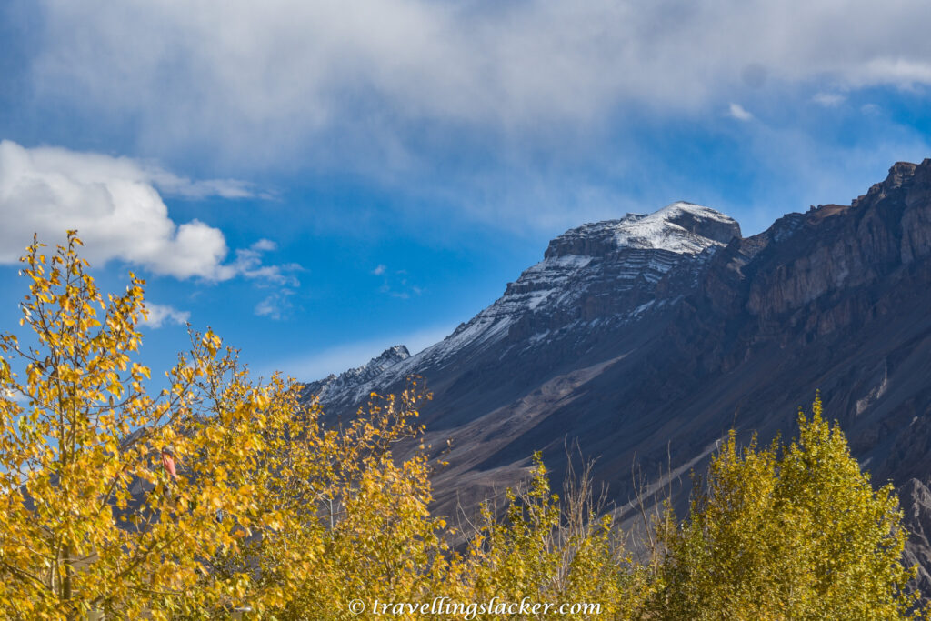 Spiti Autumn 6