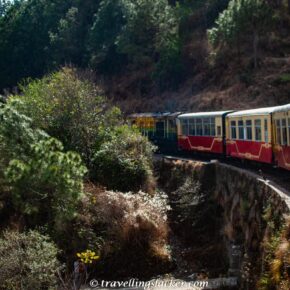 DSC 0721 Shimla Toy Train