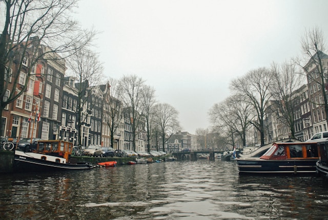 Photo by jennieramida on Unsplash