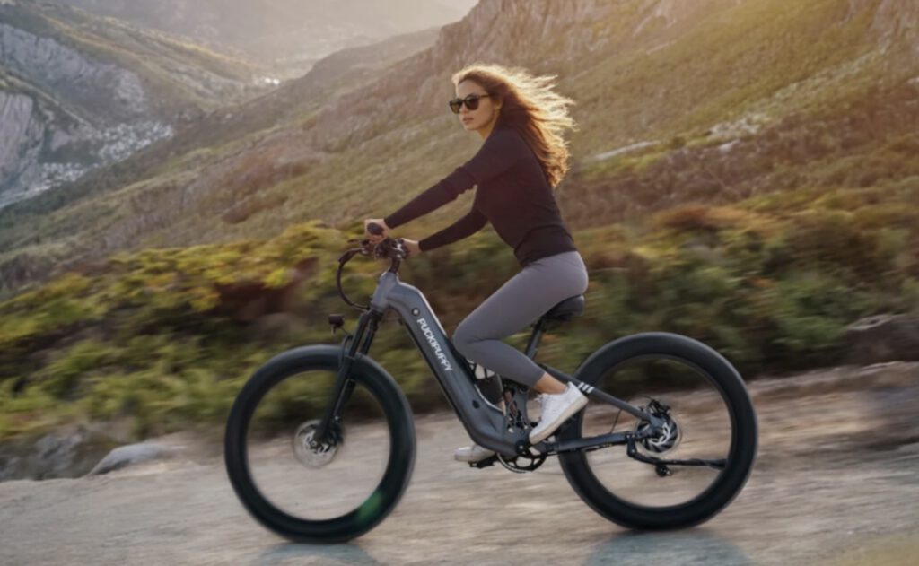 ebike ebike